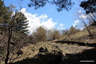 nte Egitto-29-04-2023 11-07-55